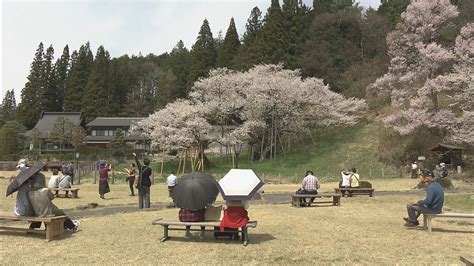 臥龍桜（高山市） 見頃・桜祭り情報など